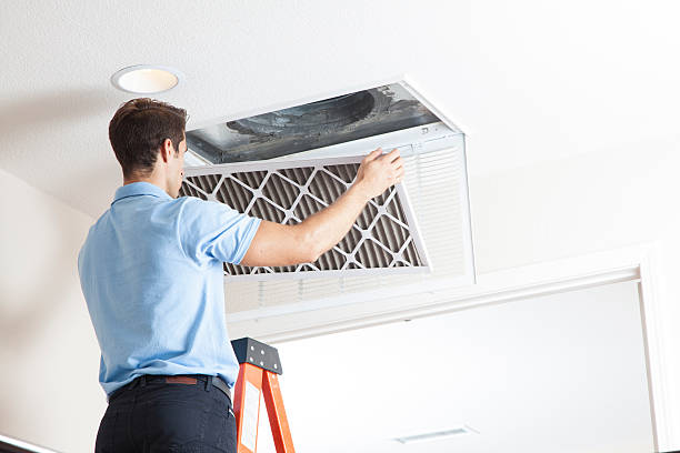 Best HVAC tune-up services  in Livonia, MI